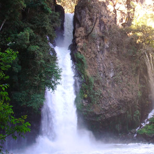 Gozar de la naturaleza en la Cascada de Tzaráracua